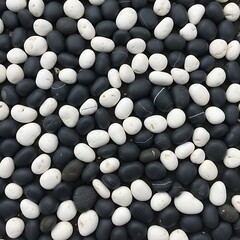 Black and White Pebbles - A Contrasting Stone Arrangement.