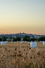 Close-up of hay bales in a rural field with the historic city of &Eacute;vora in the background at sunset, capturing the peaceful essence of the Alentejo countryside.