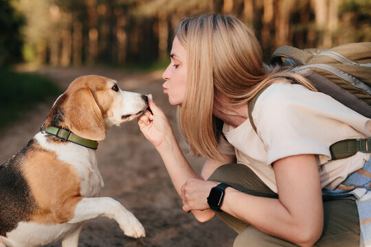 Woman showing affection to beagle while hiking in forest