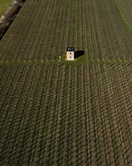 Aerial view of an orchard, in Borgloon, Belgium
