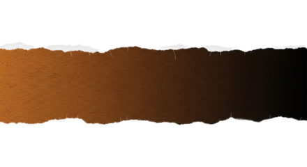A strip of textured gradation brown and black with realistic torn edges, blank for text. Isolated on transparent background,