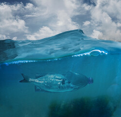 Fish swimming trapped in plastic bottle under ocean surface. Concept of plastic waste crisis,...