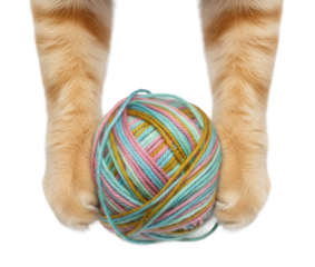 two orange tabby cat paws hold a colorful ball of knitting yarn
