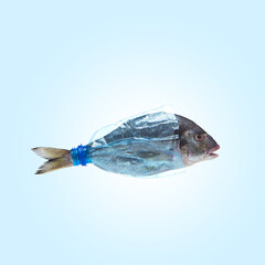 Fish enclosed in transparent plastic bottle concept of ocean pollution. Concept of marine life...