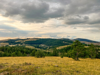 Naklejka premium Panoramic view of pine forest on hillside with mountains in the distance under cloudy sky natural daylight