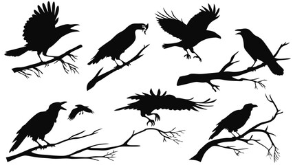 Obraz premium Flying Crow and Perching Raven Silhouettes Vector Set. Dark Mysterious Birds for Halloween Design, Nature Illustration, and Graphic Elements