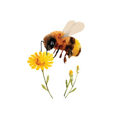 Watercolor Bee Pollinating Yellow Flower Illustration.