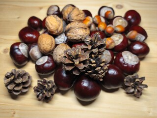 Autumn still life with chestnuts, walnuts, acorns, pine cones and mini pumpkin on wooden table