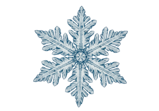 Isolated intricate blue crystal snowflake pattern macro detail frozen winter christmas