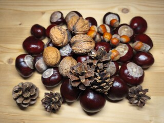 Autumn still life with chestnuts, walnuts, acorns, pine cones and mini pumpkin on wooden table