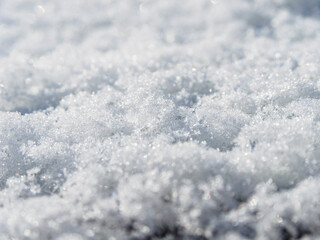 薄く積もった雪のマクロ写真