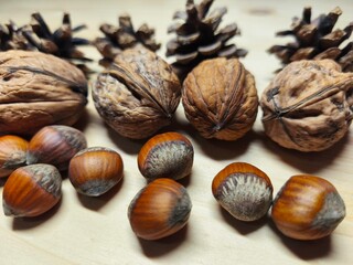 Walnuts, hazelnuts and pine cones on wooden background