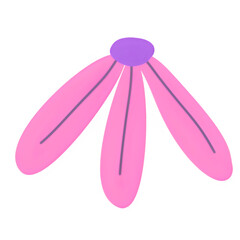 pink flower on white background