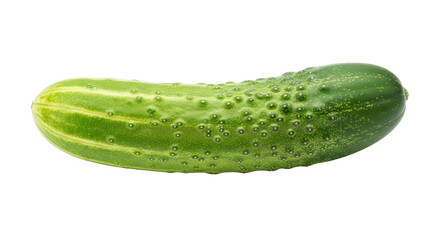 Isolated fresh green cucumber, juicy, organic, natural, food, raw and delicious looking