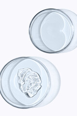 A sample of skin serum or moisturizing gel in a Petri dish. A cosmetic product.