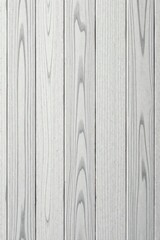 Obraz premium Light gray wood grain, hand-drawn vector texture , abstract, panel
