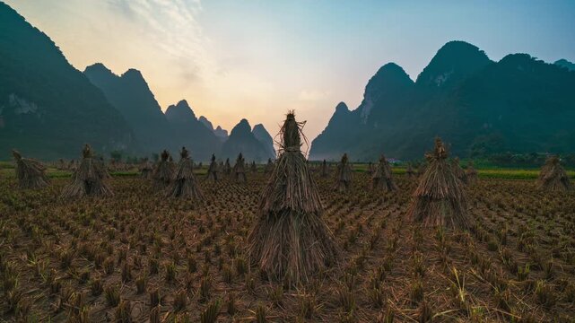 Timelapse sunrise over straw after harvesting rice in the field, Vietnam 