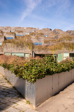 Minimalist garden walkway between concrete walls in Copenhagen, Denmark, combining modern landscape design, geometry and sustainable urban identity