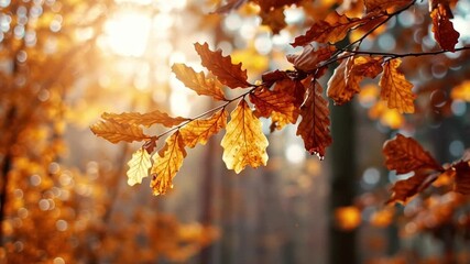 Vibrant autumn leaves in shades of orange and yellow catch sunlight filtering through trees. The tranquil forest offers a serene ambiance, inviting a sense of peace and reflection. - Powered by Adobe