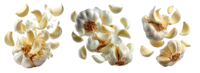set of garlic falling isolated on transparent background