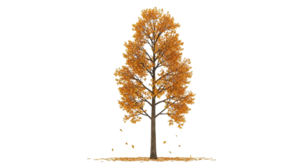 Isolated tree with orange foliage, autumnal scene, falling leaves, beauty in nature