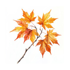Fototapeta premium Maple branch with yellow autumn leaves. Watercolor digital illustration. Tree branch with leaves, isolated on a white background. Suitable for cards, invitations, banners, and textile printing.