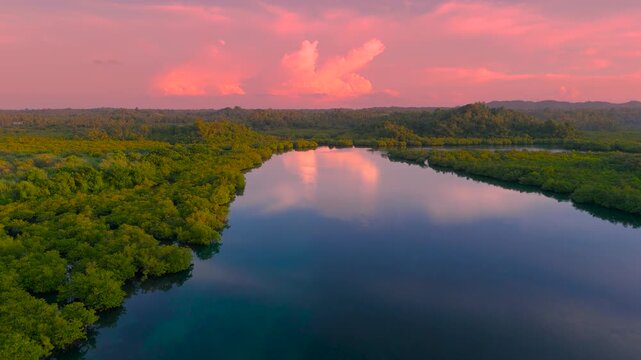 Aerial view of the flooded Amazonia forest within the Anavilhanas archipelago, featuring calm waters reflecting a dramatic pink sky at sunset, Rio Negro, Brazil.