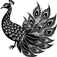 Fototapeta premium peacock feather vector illustration