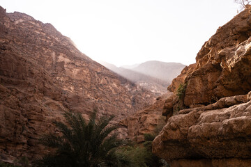 Oman wadi shab canyon rocks and palm trees