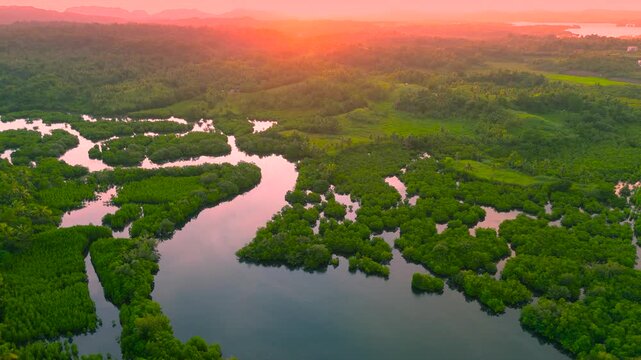 Aerial view of the Anavilhanas archipelago, featuring a flooded Amazonia forest with winding waterways at sunrise, Rio Negro, Brazil.