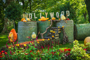 Autumn pumpkins decoration in park, garden, patio or terrace
