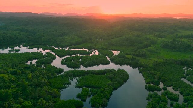 Aerial of flooded Amazon forest and Anavilhanas archipelago islands within the winding Rio Negro at sunset, Brazil.