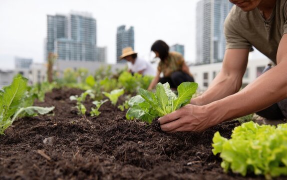 Community members grow vegetables in a garden using composted soil from recycled food waste