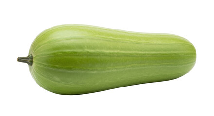 Isolated green squash, vegetable crop ready for culinary use and healthy ingredient on menu