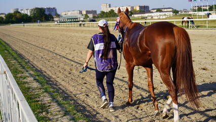 Trainer leads thoroughbred horse towards racetrack at early morning event in a vibrant equestrian facility