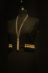 Elegant black dress adorned with gold embellishments in a dimly lit setting showcasing fashion...