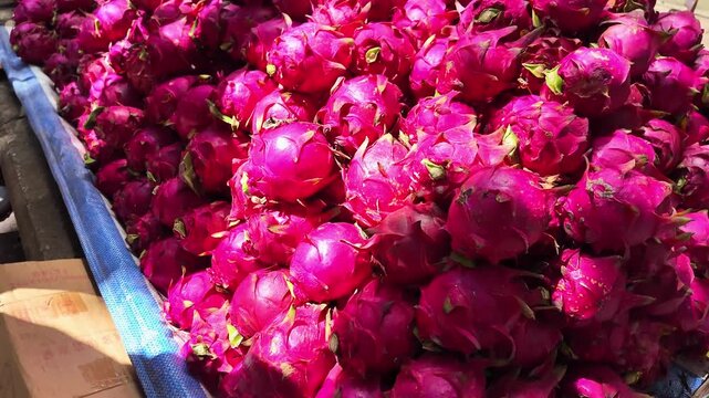 A bunch of fresh dragon fruit for sale at a roadside stall