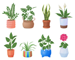 Fototapeta premium Houseplants set vector illustration