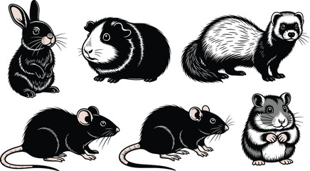 Cute cartoon vector illustration of rabbit, guinea pig, ferret, black rat, hamster, small pet animals, domestic rodents, adorable characters