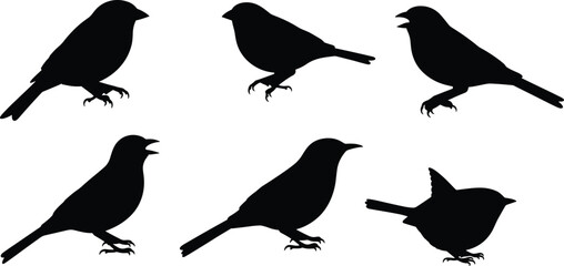 Black bird silhouettes set of six perched and flying songbirds vector illustration isolated on white background for nature design art