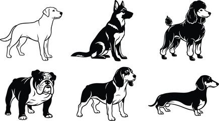 Black and white vector illustration of six popular dog breeds including Labrador, German Shepherd, Poodle, Bulldog, Beagle, Dachshund