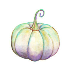 Pumpkin Isolated on white background. Hand drawn pumpkin Watercolor. Vegetables, harvest, colored botanical illustration.