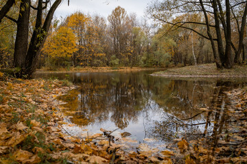 Obraz premium Serene Autumn Pond Surrounded by Colorful Foliage