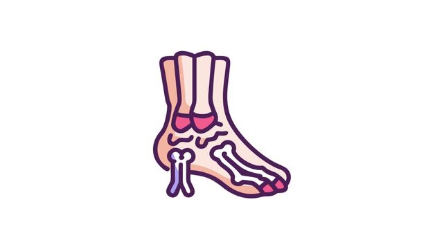 Stylized anatomical foot diagram showcasing bones and structure