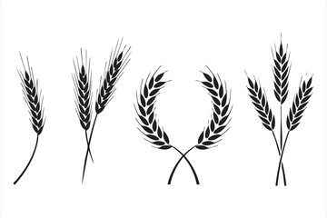 Agricultural wheat symbols for sustainable harvest and eco-friendly branding