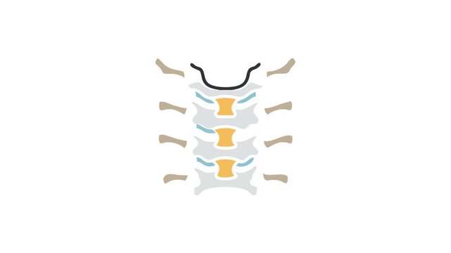 Stylized vector graphic of cervical spine anatomy illustration