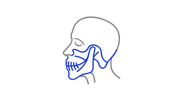 Human head anatomy diagram in blue and gray outline