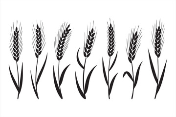 Agriculture vector illustration of wheat plants for eco-friendly packaging design
