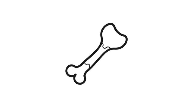 Single skeletal dog bone line art on white background