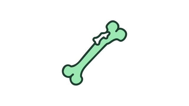 Simple bone illustration on white background in cartoon style